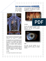 Increible Maquina Humana-Informe