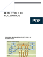 Biosíntesis de Nucleótidos - 13a