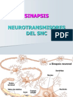 Sinapsis e Impulsos Nerviosos