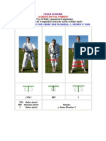 13 Karate Shotokan Heian Shodan