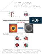 Desenvolvimento Embrionário