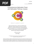 Download Comprehensive Methylation Panel with Methylation Pathway Analysis by Miguel Kennedy SN143117620 doc pdf