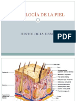 Histología de la piel: Estructura, funciones y procesos