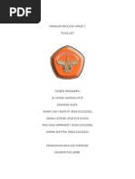 Download Makalah Biologi Mengenai Teori Evolusi by Verra Toempul SN143131282 doc pdf