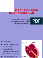 Anatomia y Fisiologia Cardiovascular