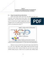 Peran Protein PfEMP-1 dalam Patogenesis Malaria Cerebral