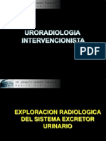 Uroradiologia Intervencionista