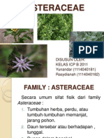 ASTERACEAE