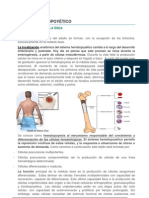 239 Hematopoyesis PDF