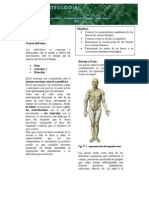 Guia de Osteolog - A