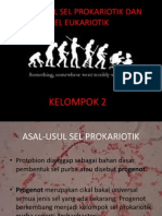 Kelompok 2 Asal Usul Sel Prokariotik Dan Eukariotik Bella Awalia Hana P Hanifah Ikhlas F Xi Ipa 1