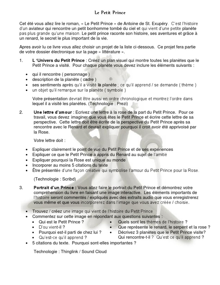 Petit Prince Projects Pdf