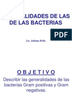Clasificacion de Las Bacterias
