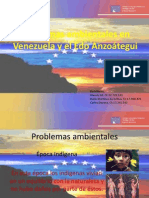 Problemas Ambientales en Venezuela y El Edo Anzoátegui