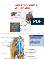 Anatomia Fisiologica Del Higado