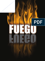 Efecto Fuego