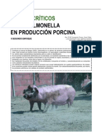 Puntos Críticos de La Salmonella en Producción Porcina