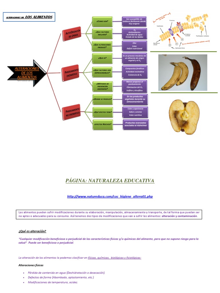 Alteraciones de los Alimentos: Causas y Efectos | PDF | Carne | Alimentos