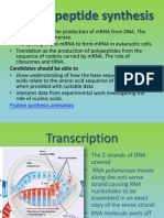 3 Polypeptide Synthesis