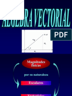 Algebra Vectorial