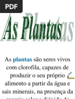 Constituição das plantas