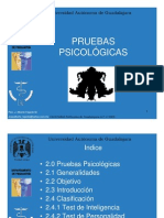 2 Pruebas Psicologicas PDF