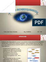 Ciclos Biogeoquimicos