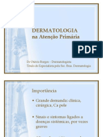 Dermatoses Atenção Primária 2013 Otavio Ferreira Borges PDF