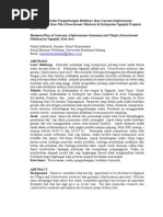 Download Budi Daya Ikan by Wwe Sampoerna SN143344519 doc pdf