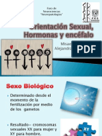 Orientación Sexual, Hormonas y Encéfalo2