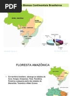 11_Biomas_brasileiros