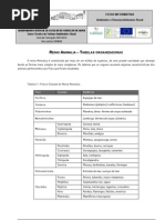 classes - reino animalia (tabelas)