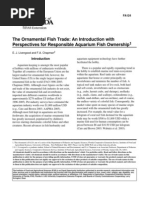 Download the ornamental fish trade an introduction by nlribeiro SN14336285 doc pdf