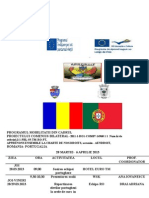 Programul Mobilitatii Romania Portugalia New