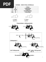 32 Cefalosporine