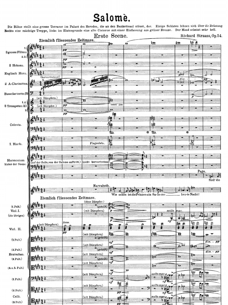 IMSLP01663Strauss Salome Scenes 13 Complete Score PDF