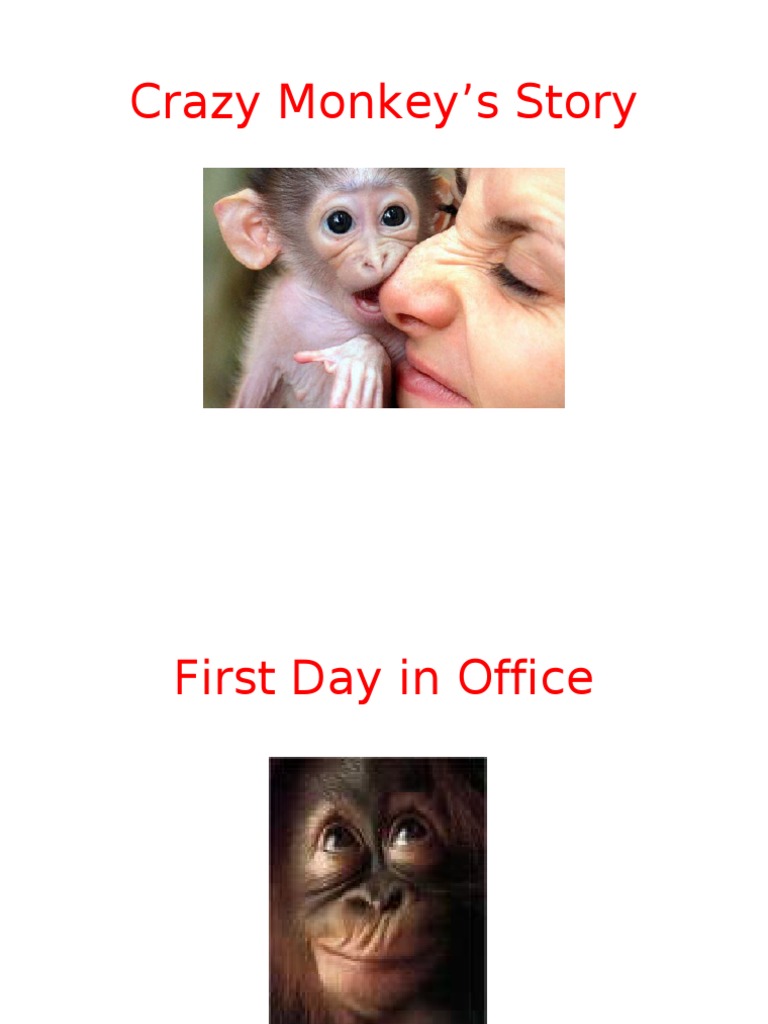 Monkey | PDF