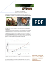 Bamboo Newsletter February 2012 Issue_chicken.pdf