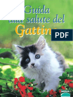 Guida Gattino How To Grew Up Kittens
