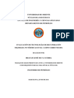 72-TESIS.IP011.S86.pdf