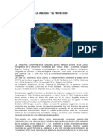 La Amazonía y su Proyección