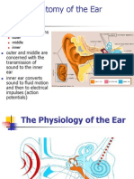 Anatomy of The Ear: Ear Has Three Regions