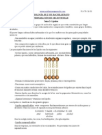 Leyre-Tema 3-Lípidos PDF