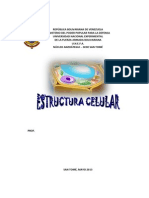 ESTRUCTURA DE LA CÉLULA