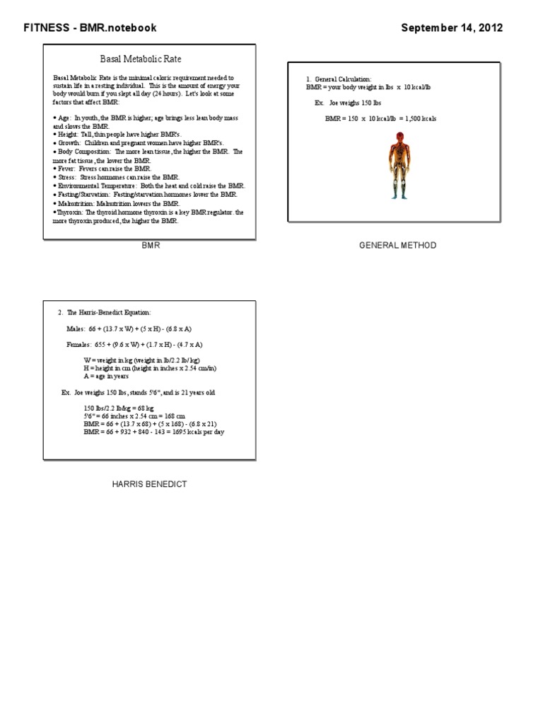 Understanding Basal Metabolic Rate (BMR) | PDF