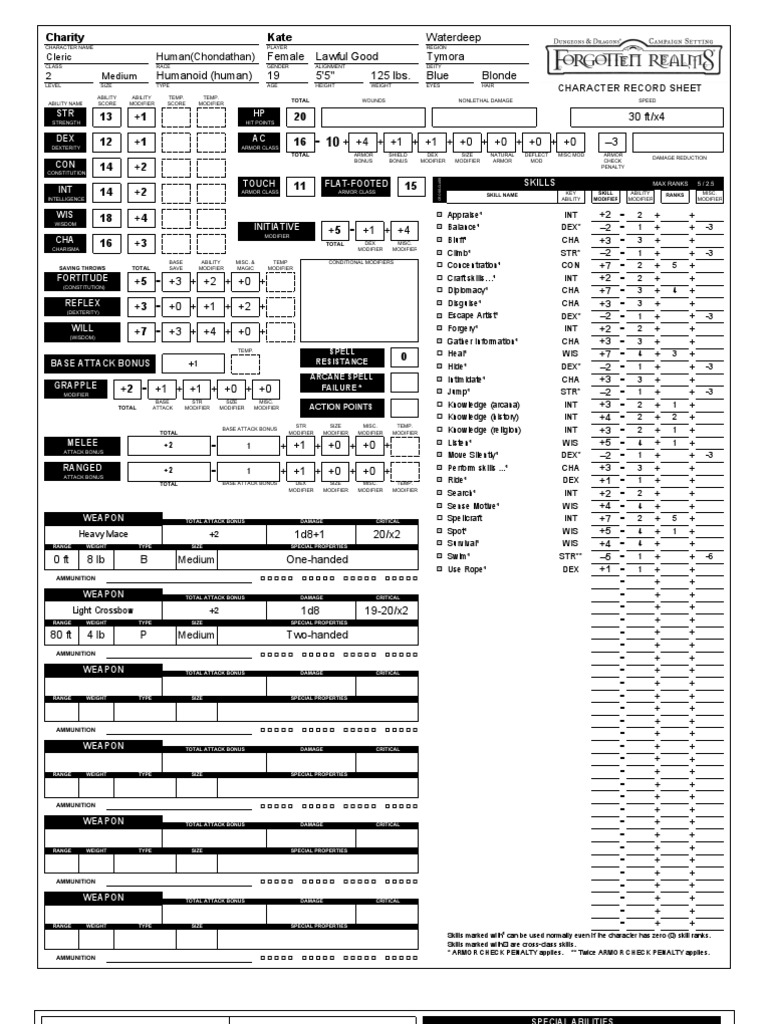 Character Record Sheet for RPG | PDF | Role Playing Games | Leisure