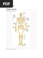 Punca-Punca Kemalangan Jalan Raya Punca-Punca Kemalangan Jalan