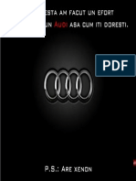 Audi Sorin