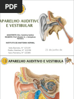 Ouvido - Inês, Pedro, Sara