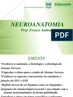 Neuro Anatomia